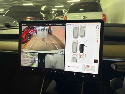 2019 Tesla Model 3 - Thumbnail